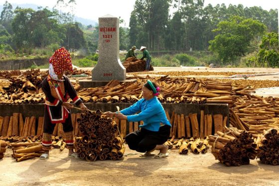 Ảnh của Quảng Ninh phát triển nông nghiệp theo hướng an toàn, bền vững